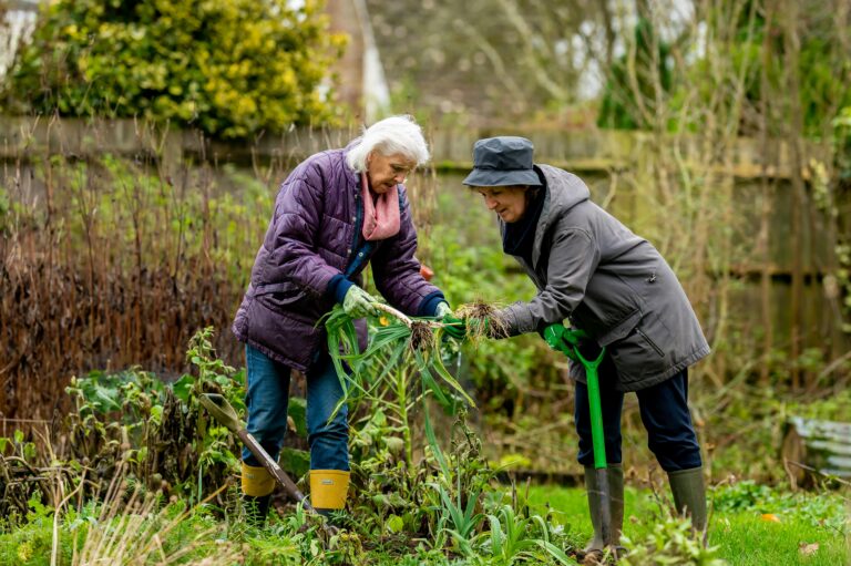 The Power of Social Prescription: A Path to Healthier and Happier Lives