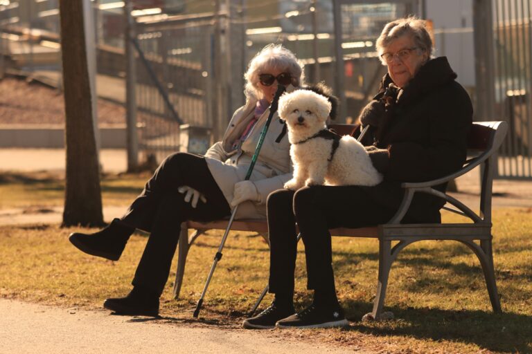 Pets as Companions: How Animals Bring Joy and Routine to Elder Life