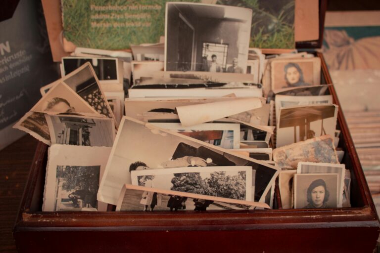 Monsoon Nostalgia: Healing through Memories and Storytelling
